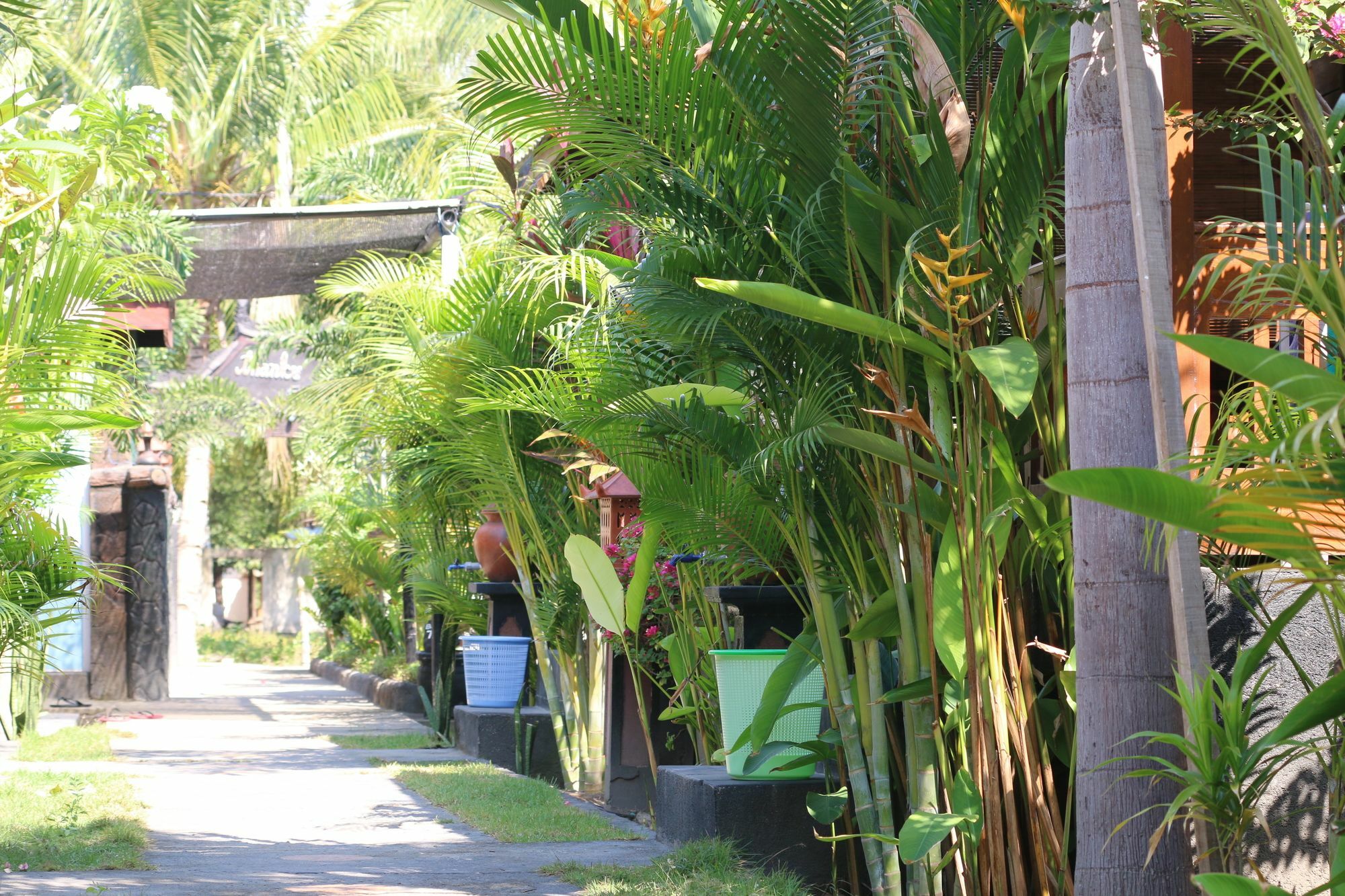 Color Cottage Gili Air Exterior photo